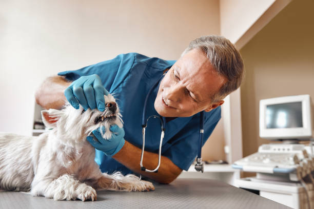 Best Emergency Wisdom Teeth Removal in Blakely, GA